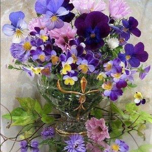 Meet your Posher, Debra m.